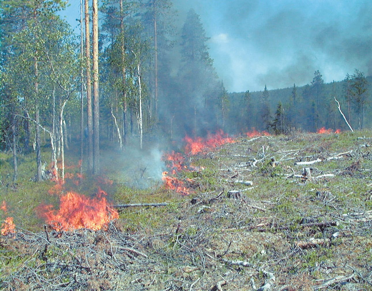 Pelastuslaitokselta varoitetaan, että tulen kanssa täytyy olla nyt huolellinen. Maastopalovaroitus on voimassa koko maassa Lappia lukuun ottamatta.