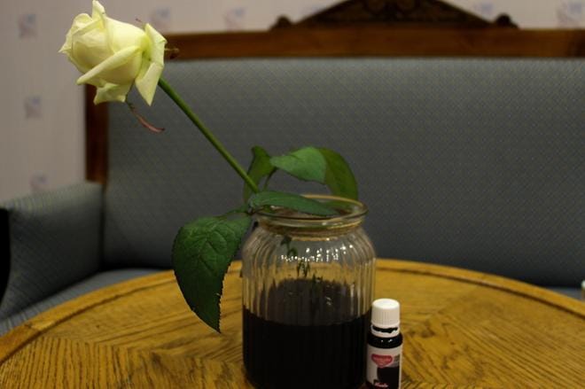 Testi-TV testaa erittäin tärkeitä asioita. Kuten nyt vaikka sitä, saako valkoisesta ruususta mustan juottamalla sille pari päivää mustaa elintarvikevärivettä. Kuva: Noora Laakso
