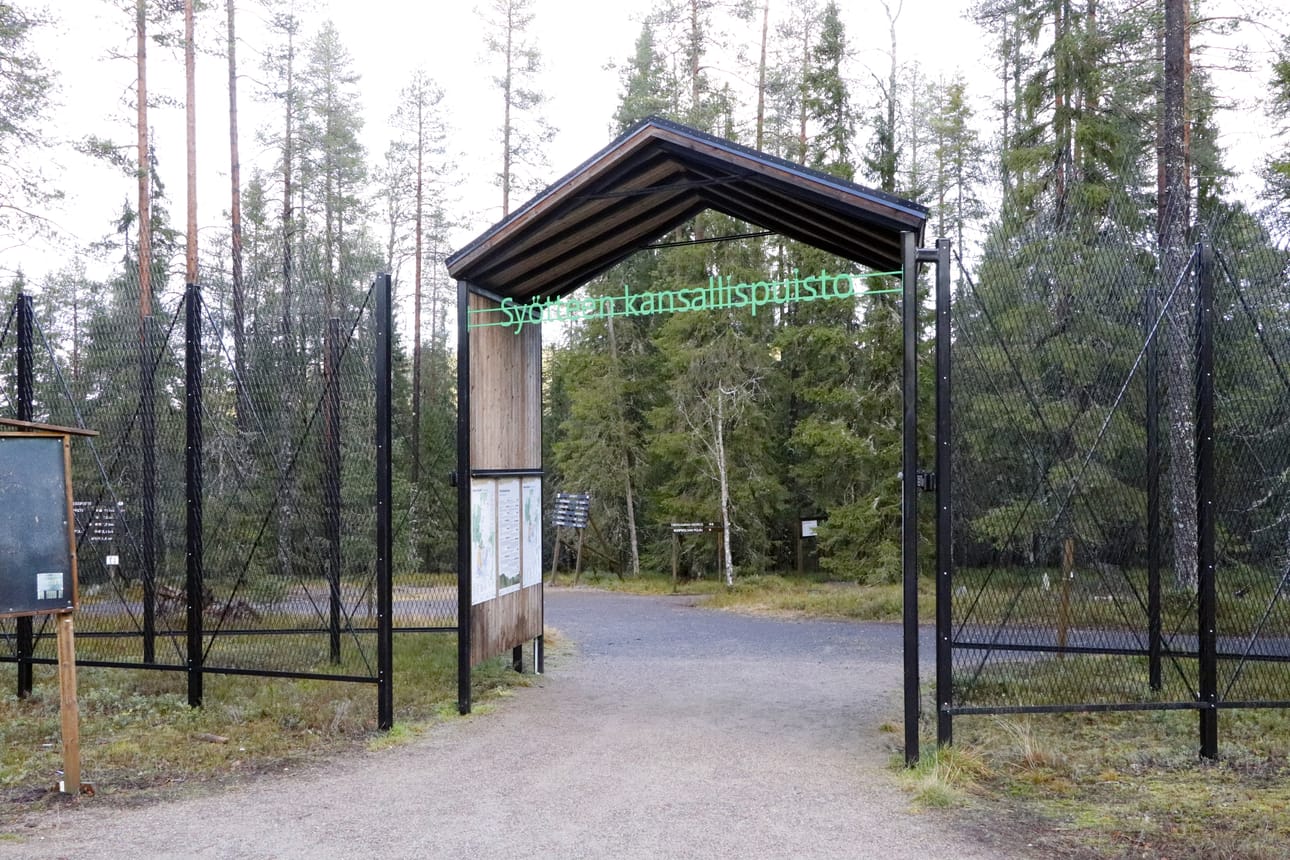 Metsähallituksen sovellukseen voi kerätä käyntinsä kansallispuistoissa.
