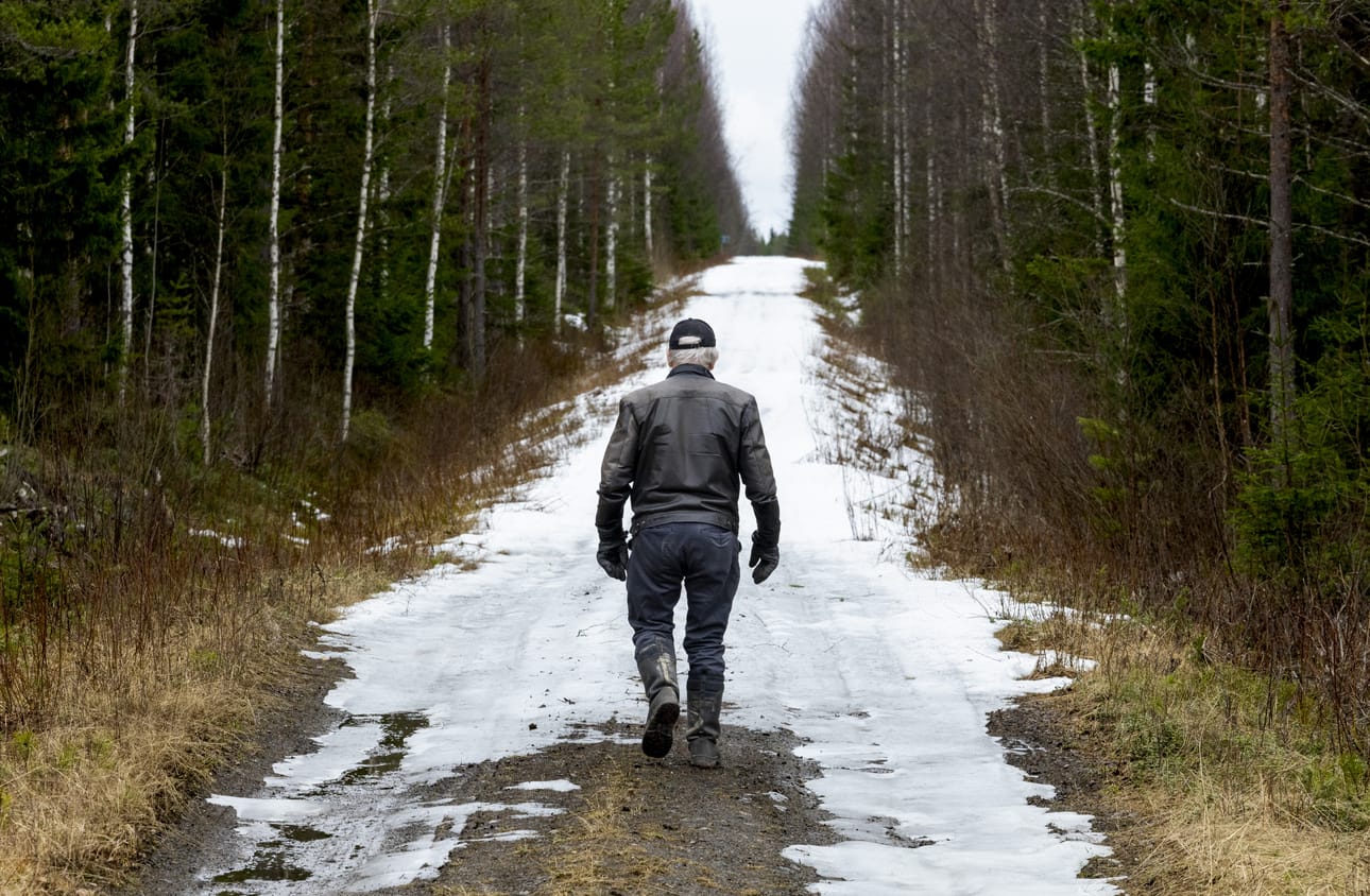 Metsää pitää hoitaa, Esko Holappa tietää. Hänen mielestään sen pitää kuitenkin tapahtua ilman myrkkyjä.