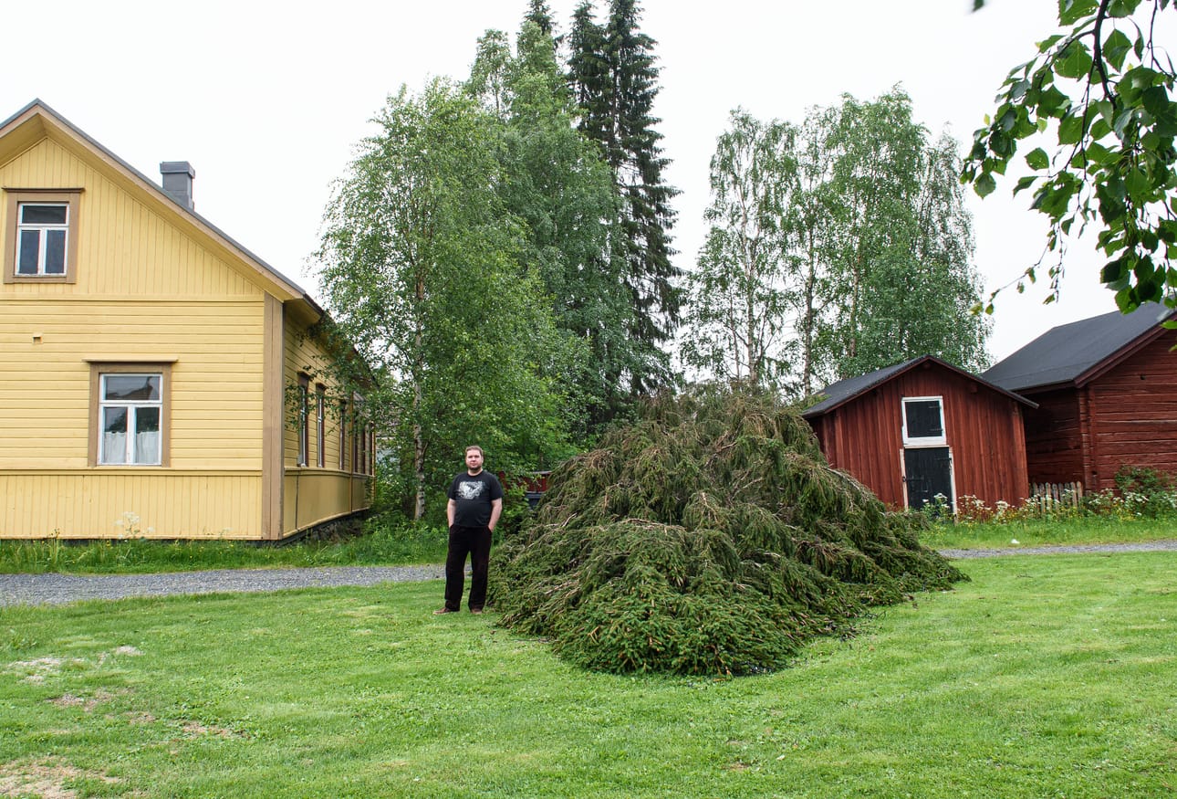Taivalkoskella Jalavan pihapiirin ja koko kirkonkylän maamerkkinä toiminut 174-vuotias kuusi kaatui viisi vuotta sitten juurineen päivineen Paula-myrskyn voimasta. Kauppias Mikko Jalava oli huojentunut, ettei rakennuksille käynyt kuinkaan.