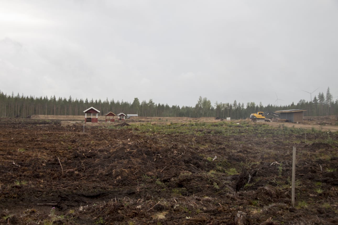Näkymä ampumarata-alueelle 300 metrin kivääriradan ampumakatoksesta. Kentälle istutetaan vielä nurmikko ja kentän oikeaan reunaan rakennetaan suojapenkka erottamaan kiväärirata sivuilla olevista pistooli-, kivääri- ja hirviradoista.