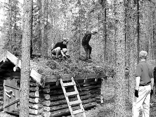 Turvekatto vajaan . Kesämökin vaja sai turvekaton alkukesän aikana. Puuvaja rakennettiin tontilta kaadetuista puista ja ylijäämälaudoista. Ainoat ostetut materiaalit ovat bitumikermi ja muut turvekatonmateriaalit. Turvekin noudettiin viereiseltä suolta. Parhaimmillaan vajan katto on muutaman kasvukauden jälkeen.
