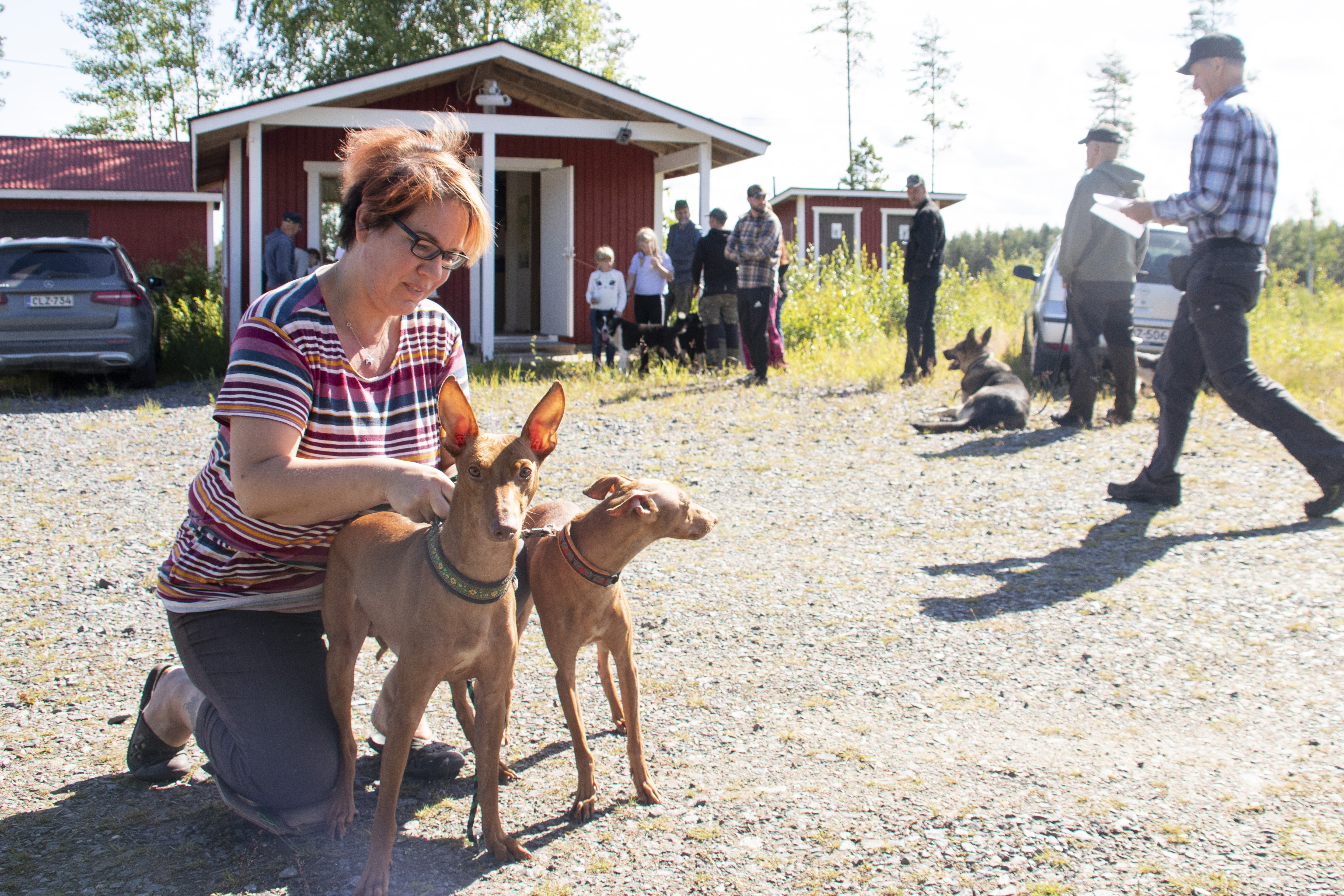 Vihantilainen Annikki Peltola toi rokotteelle etnankoiransa Maurin ja Mimmin.