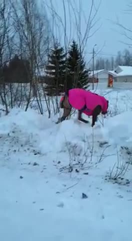 Pipsa-koira lenkillä
