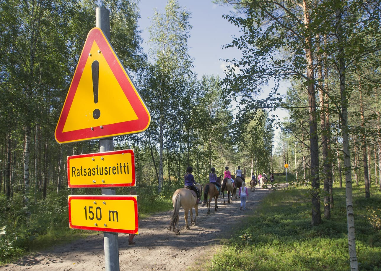 Hevoset voivat pillastua äänistä ja aiheuttaa vaaran niin ratsastajille kuin sivullisillekin. Kuva ei liity tapaukseen.