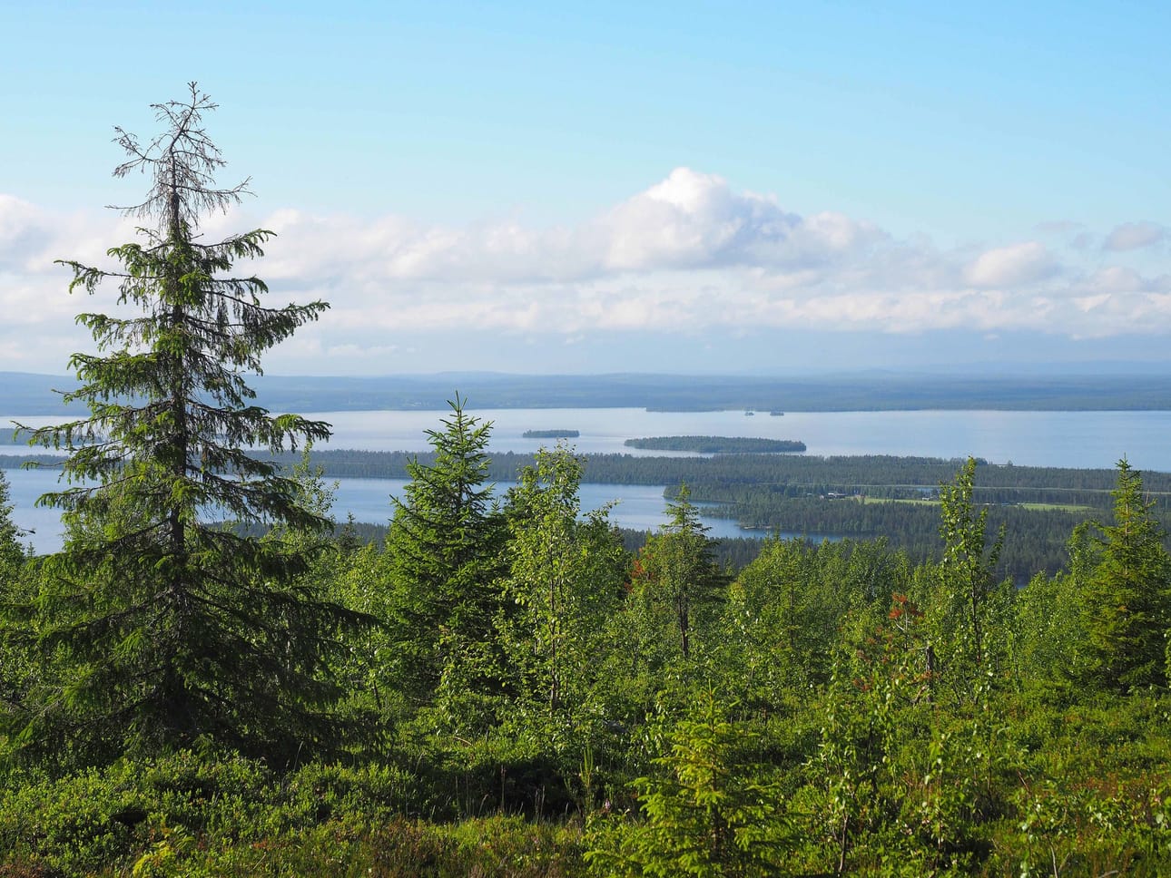 Kuusamon Kitkajärvi Kouvervaaran huipulta.