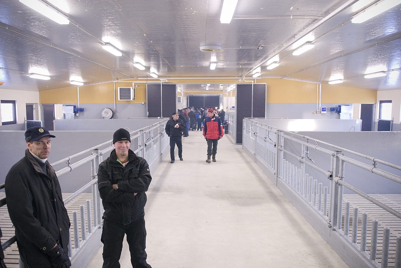 Kämäräisen veljekset Pekka ja Jouni luottavat maatalouteen ja ovat laajentaneet nautakasvattamoaan.