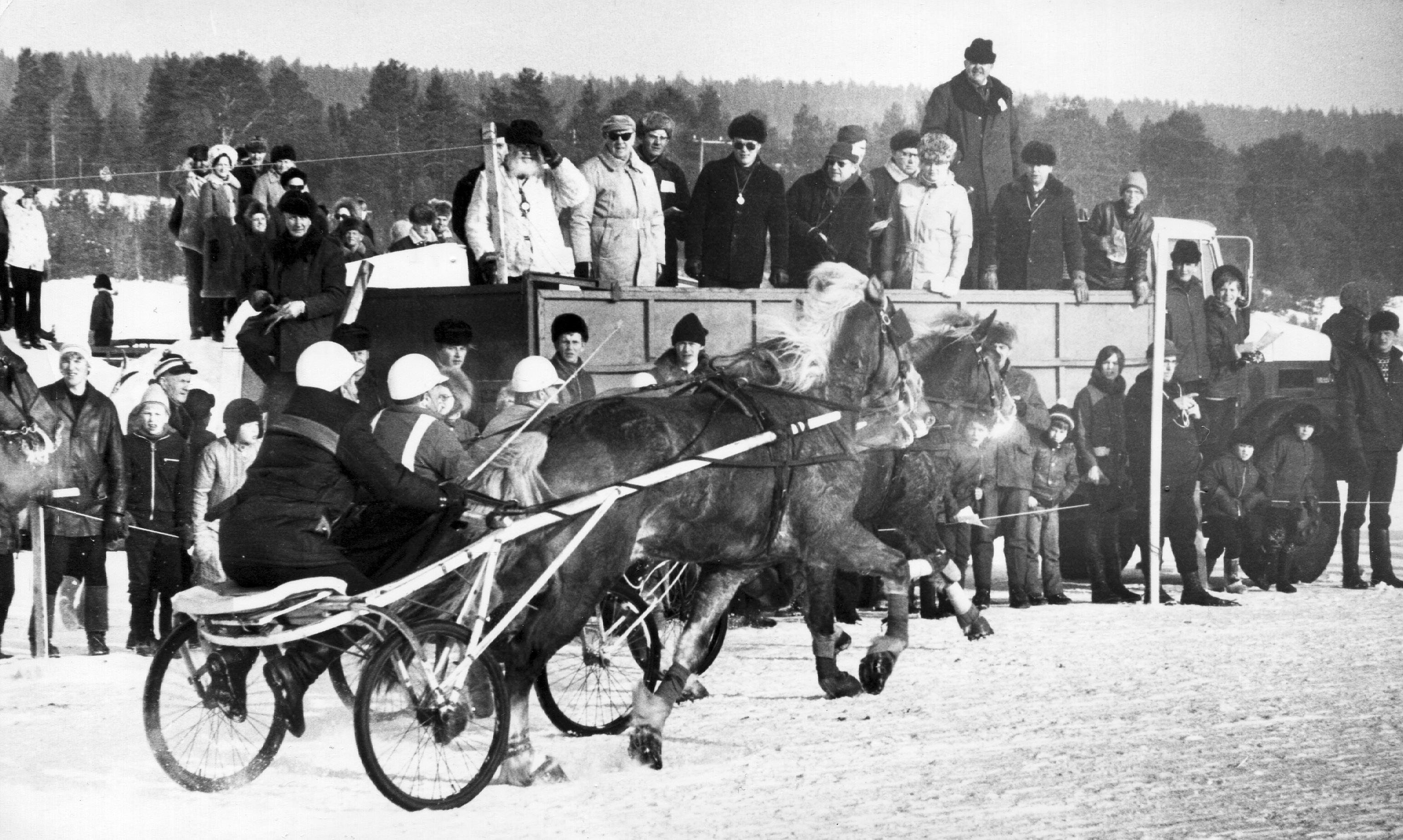 Jääraveissa yleisö tungeksi niin lähellä, että hevosta saattoi melkein koskettaa – muistatko, missä Rovaniemellä ajettiin kilpaa ennen Mäntyvaaraa?
