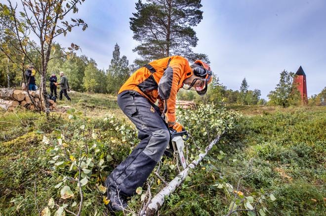 Työelämässä oppimisesta sovitaan oppisopimuksella tai koulutussopimuksella. Kuvassa Noorollah Alizadeh raivaustöissä Ulkokrunnin saaressa syyskuussa 2020. Kuvaushetkellä Alizadeh opiskeli metsuriksi Lappia-ammattiopistossa ja oli oppisopimuskoulutuksessa Rannikkokuriiri-yrityksessä.