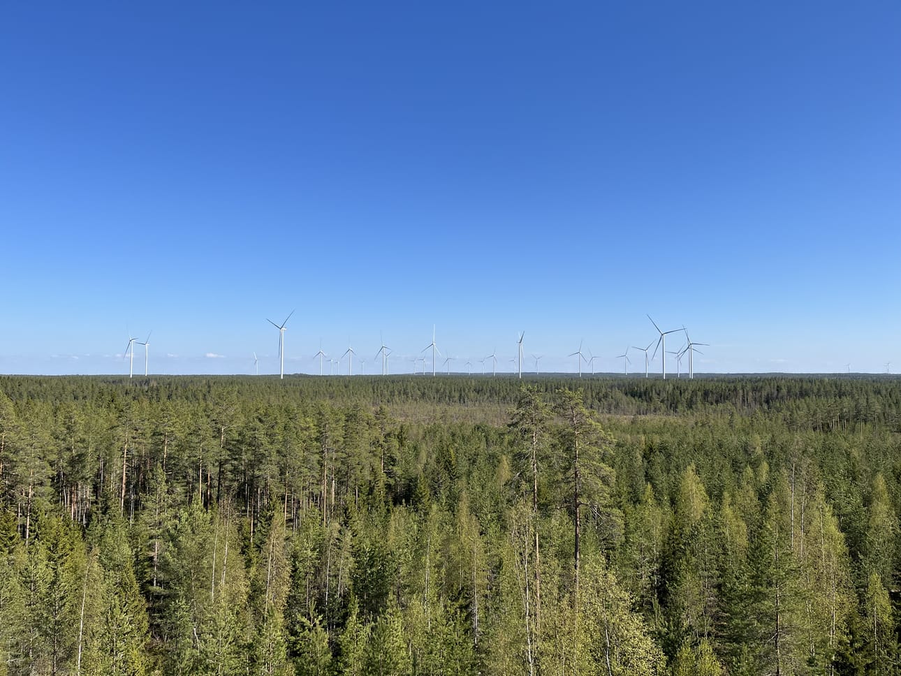 Tuulivoimaloita Jurvan Tainuskylän suunnalta kuvattuna.