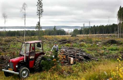 Mikko Heikkisellä on Paltamon Mieslahdessa, Oulujärven ja Kainuun sinisten vaarojen äärellä upeat työmaisemat.