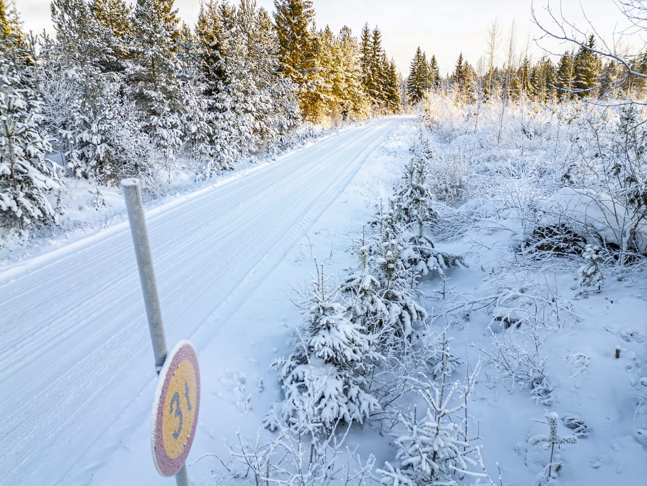 SS-sotilaantien nimen vaihtamista perusteltiin sillä, että tiennimi voidaan kokea loukkaavaksi tai kiusalliseksi. Lisäksi perusteena oli kylttien katoaminen ja näin pelastusturvallisuuden heikkeneminen. Arkistokuva.