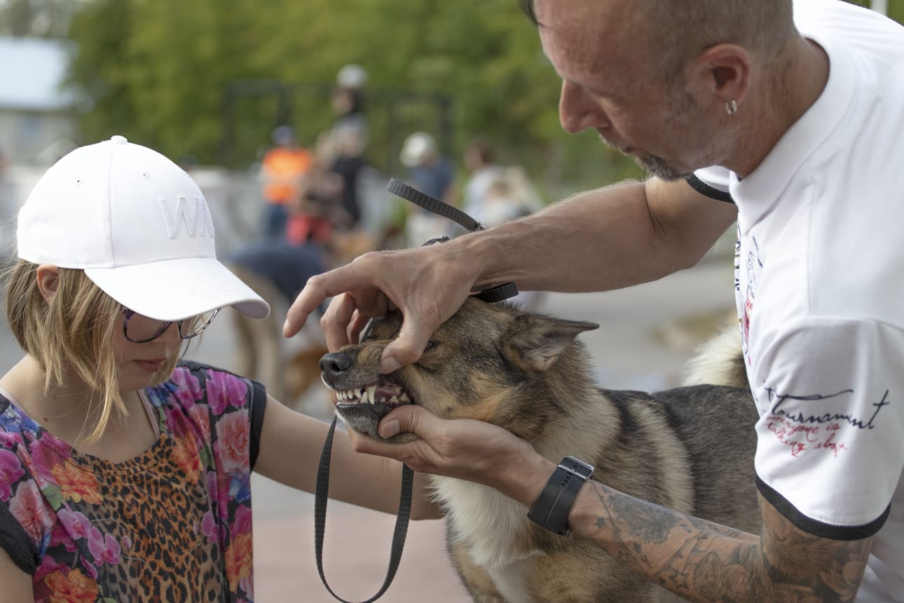 Marko Rita oli tuomarina pienten koirien kehässä, jossa hänen tutkittavanaan Senja Karppimaan esittämä länsigöötanmaanpystykorva Rurik. Senja esitti tätinsä Hanna Anttilan koiran, kun Hanna oli kiireinen kisatoimitsijana.