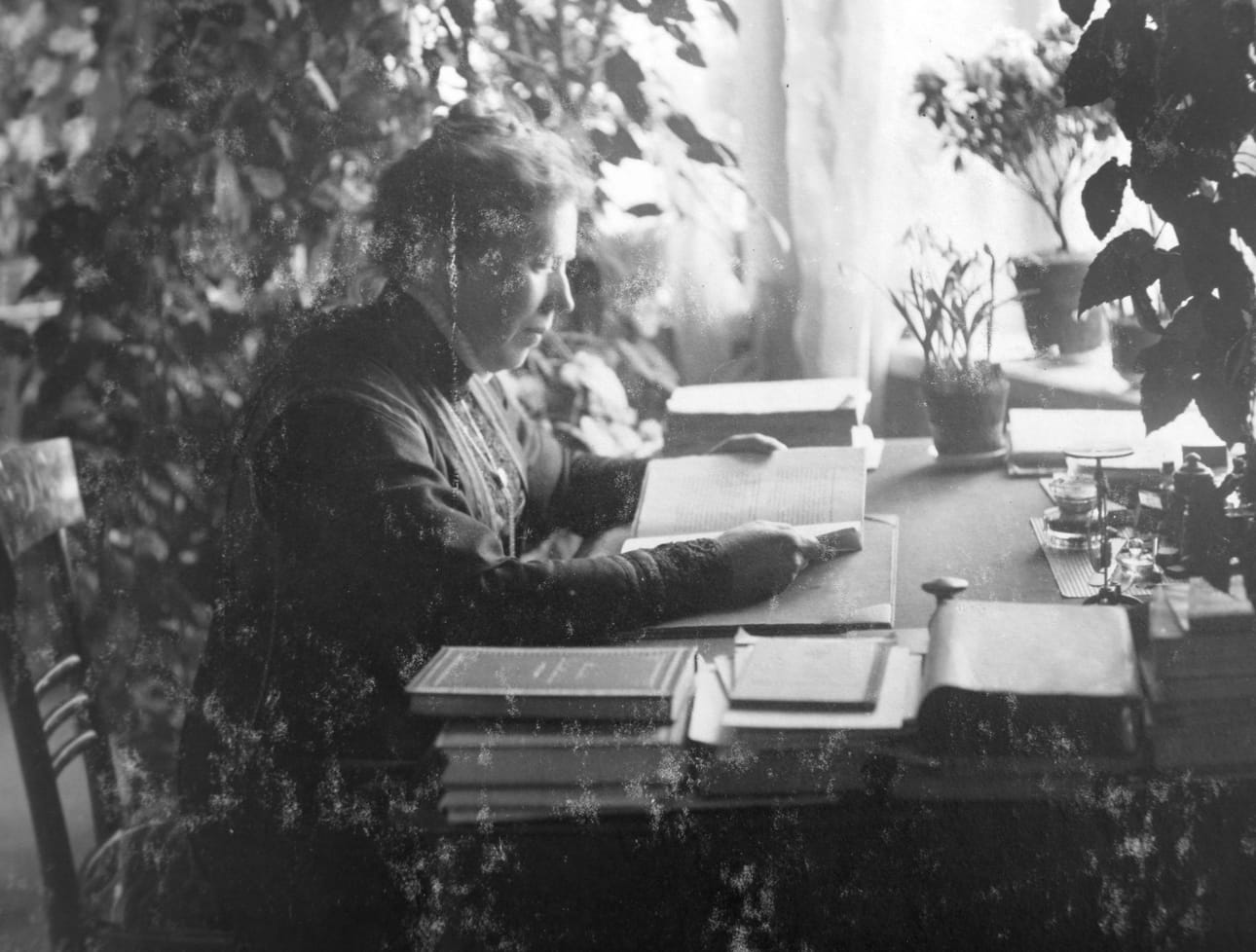 Tekla Hultinin monet ajatukset syntyivät kotona Katajanokalla viherkasvien ympäröimän kirjoituspöydän ääressä.