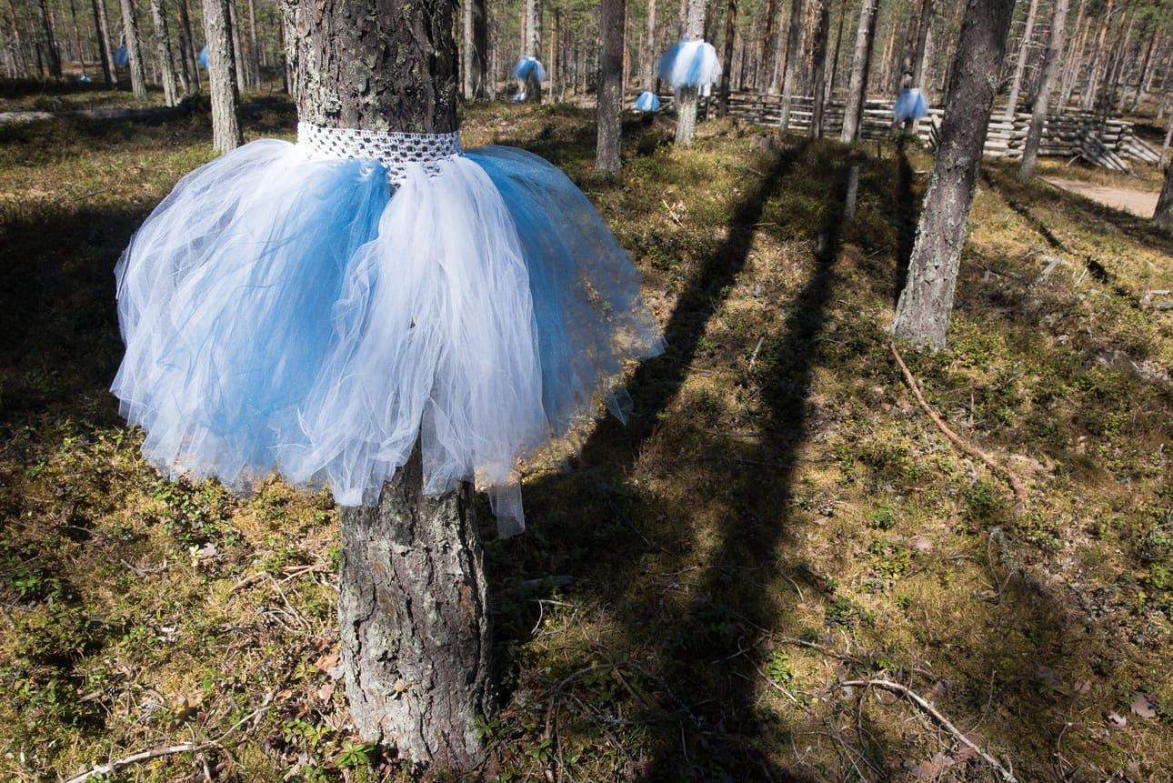 Avajaisissa on monelaisia taidesisältöjä.