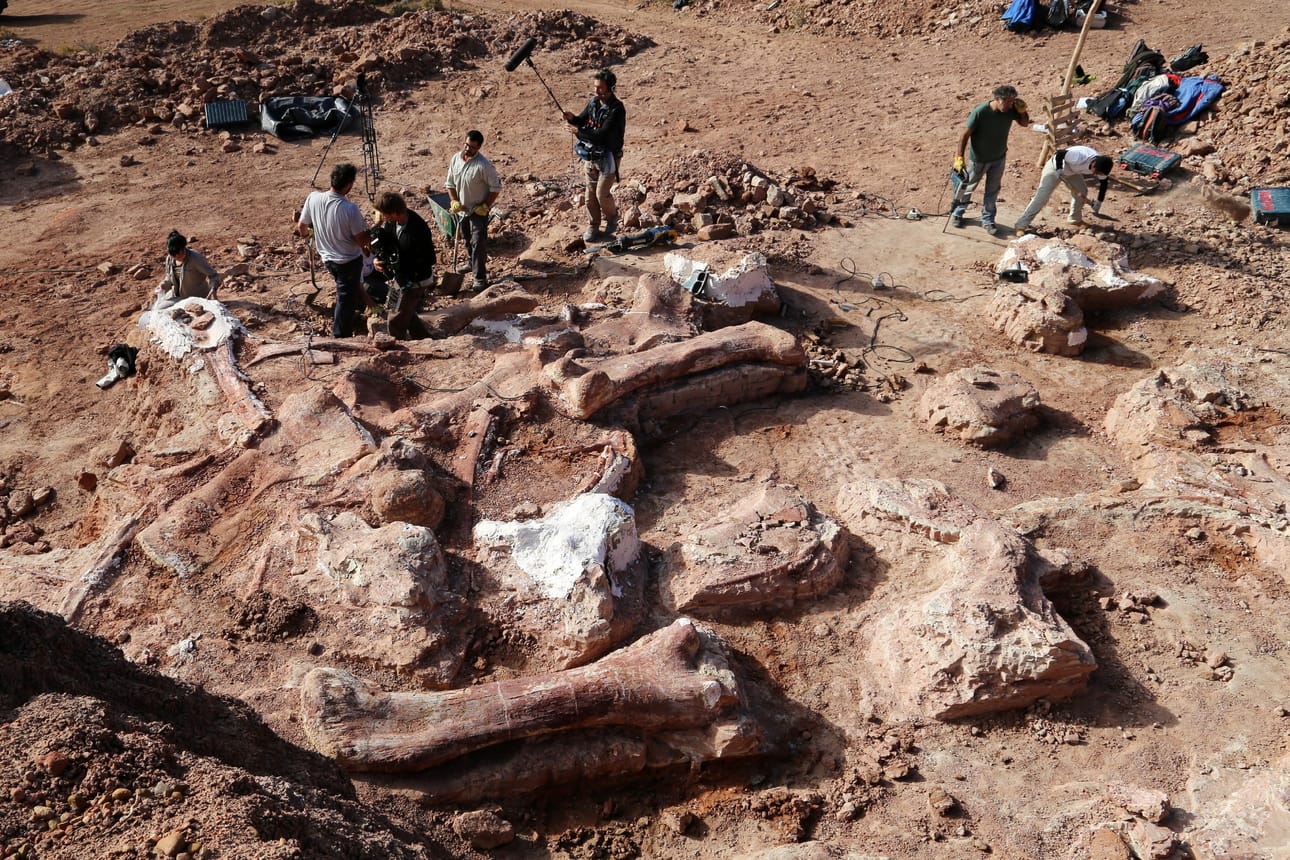 Vuonna 2013 argentiinalaiselta aavikolta löytyi valtavankokoinen fossilisoitunut luu, sitten toinen ja lopulta yli 200 luuta, jotka kuuluivat ennestään tuntemattomalle dinosauruslajille.