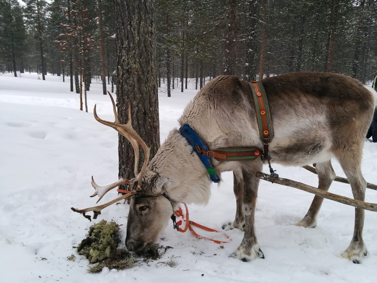 Rita Kumpulainen kertoo vahvan muiston lapsuudesta.