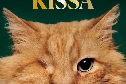 Kansien välissä: Rakas vai roska? Arvon kissa -teos kertoo rescue-kissojen tarinoita ja antaa kasvot Suomen kissakriisille