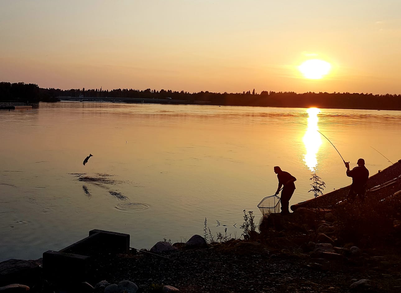 Lämmin elokuinen ilta ja Merikoski.