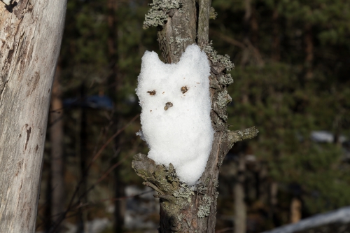 Pakkasherran puuhahmot,  tehtäisiinkö taidetta?