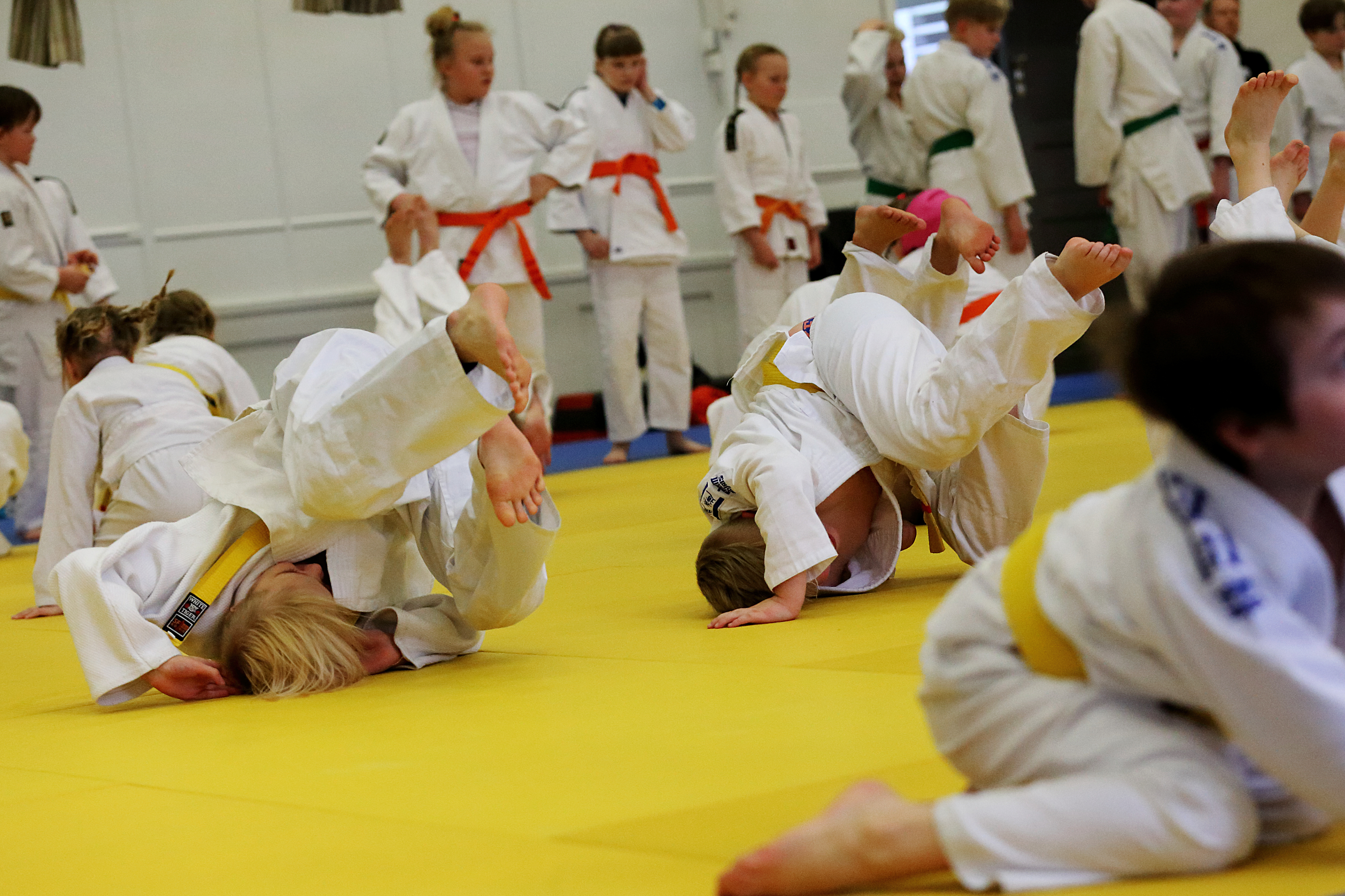 Sadan nuoren judokan yhteislämmitely oli vaikuttava näky. Näidenkin nuorten mahdollisuus harrastaa korkealla tasolla vanhempana on parantunut pohjoisessa.