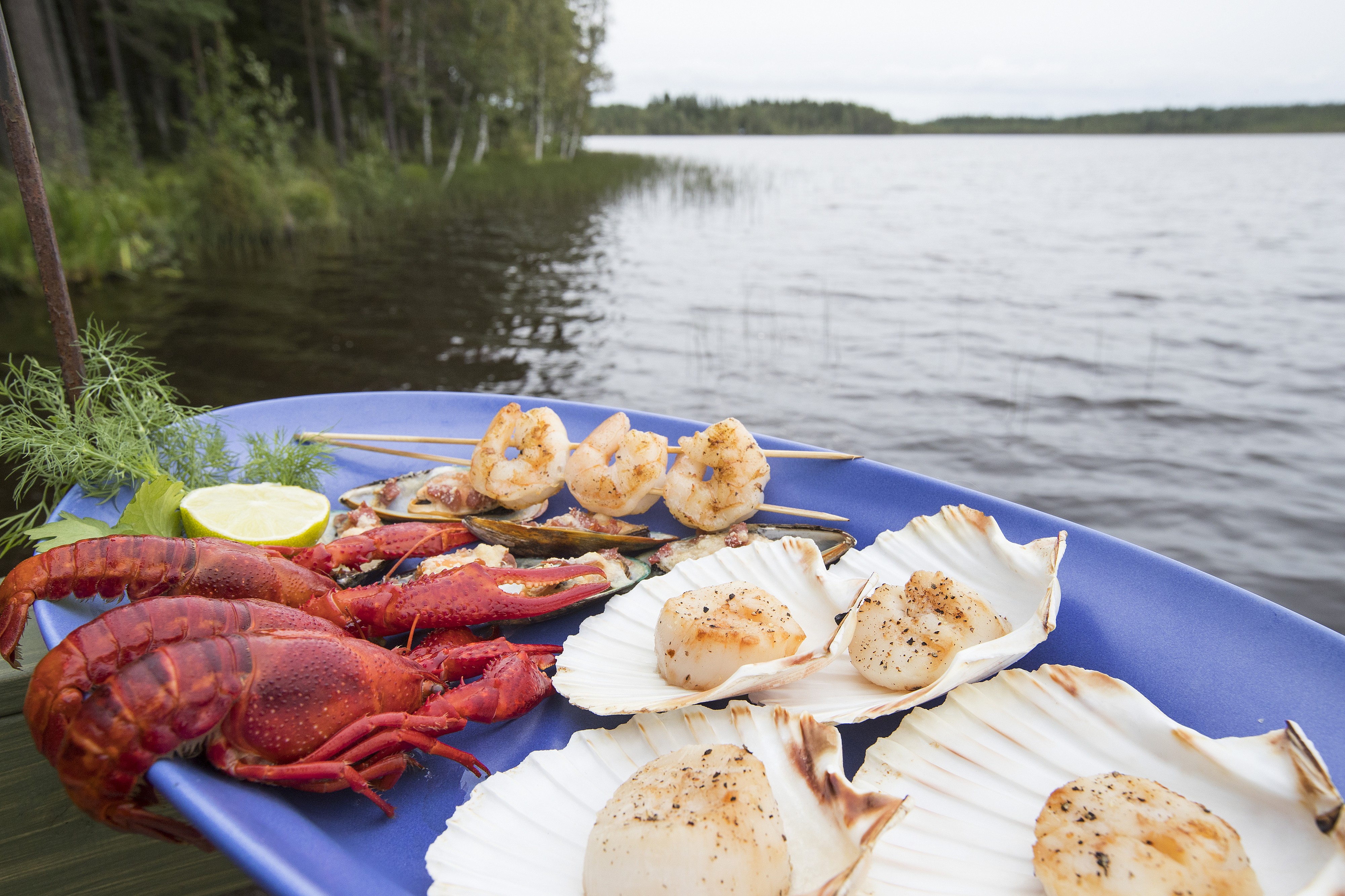 Kes‰-Kaleva: merenel‰vien grillausta