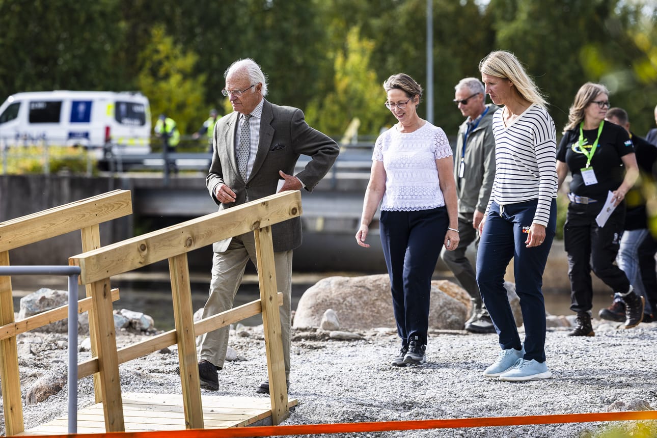 Portimokosken kalatien ensimmäiset lohikalat päästivät matkaan torstaina kuningas Kaarle XVI Kustaa sekä ministerit Sari Essayah ja Sari Multala.