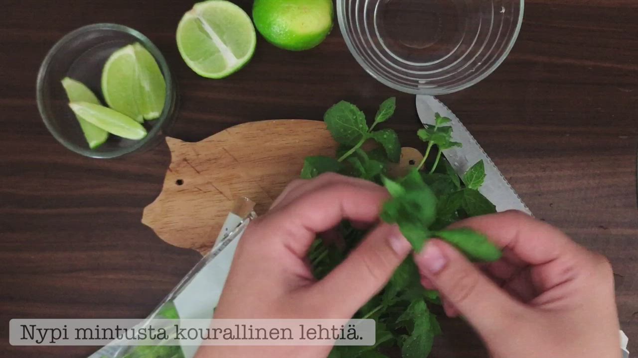 Tee-se-itse: Virgin Mojito