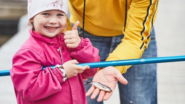 Toista kertaa Iin Rantakestilässä järjestettävien Haukifestareiden tavoitteena on lisätä tietoutta lähikalasta ja tehdä Iitä sekä Iijokea tunnetuksi kalastus- ja virkistysmielessä. Tapahtumassa on ohjelmaa ja tekemistä koko perheelle.