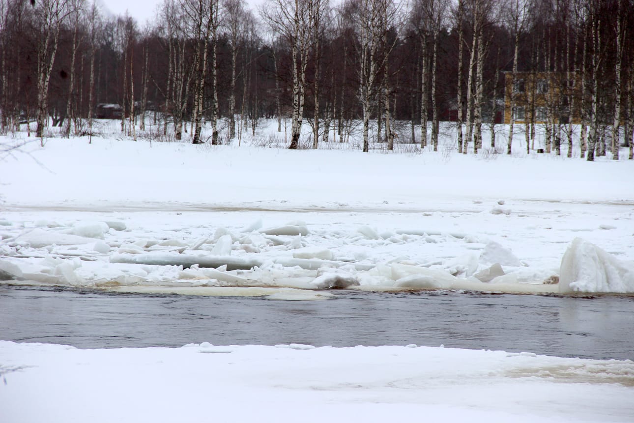 Iijoki virtaa uomassaan. Pudasjärven kaupunginhallitus päättää tiistaina kaupungin kannanotosta PVO:n Kollaja-hankkeeseen. Kaupunginjohtajan pohjaesityksenä on, että kaupunki suhtautuu hankkeeseen myönteisesti, mutta edellyttää hankkeen toteutukseen tiettyjä ehtoja.