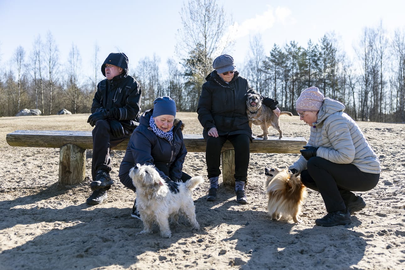Timo Holopaisen (vas.), Anne Uusitalon, Kaisa Krankan ja Eija Holopaisen koirien kimppuun on hyökännyt vapaana ollut koira.