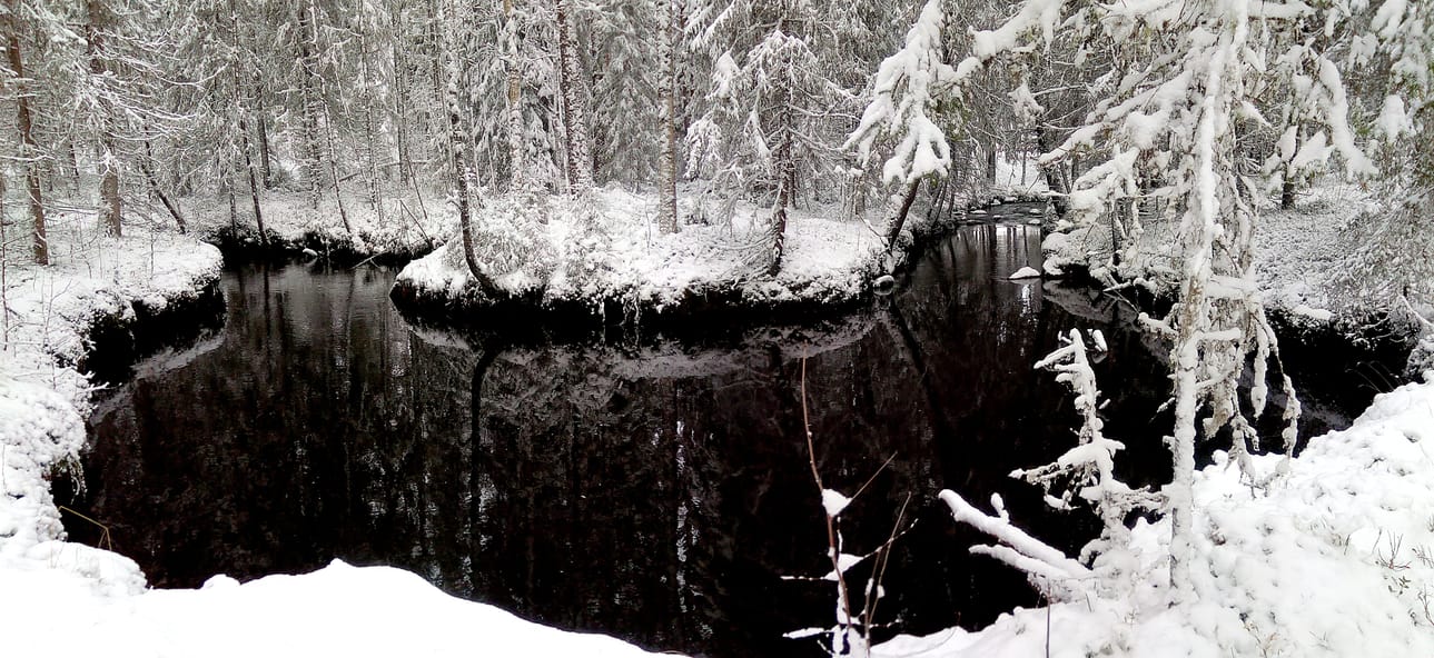 Pattijoki on nimensä veroinen: siinä on lukemattomia mutkia ja käännöksiä.