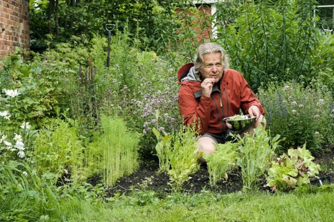 Dokumenttiohjaaja Petteri Saario valottaa ruuan kasvatusta monipuolisesti ensimmäisessä jaksossa. Myöhemmin aiheina ovat esimerkiksi luonnon parantava voima ja hautausmaiden luonto. Kuva: Petteri Saario