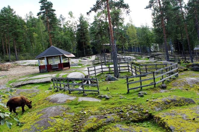 Kuvituskuva: Tarja Riihimäki