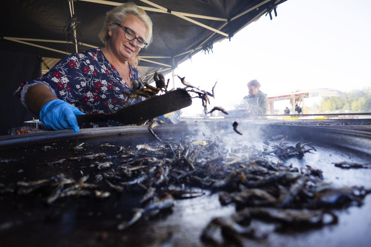 Marianne Virtanen paistoi muikkuja pannulla.