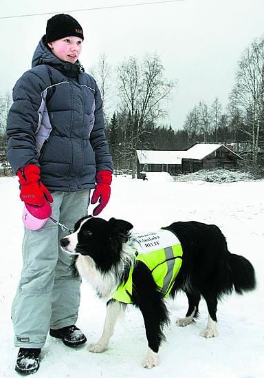 Sallittu avustaja SM-kisassa. Sonja Kippola ja MTK-Pyhäjoen salainen ase, koulutettu kuusenetsijävainukoira Reetu