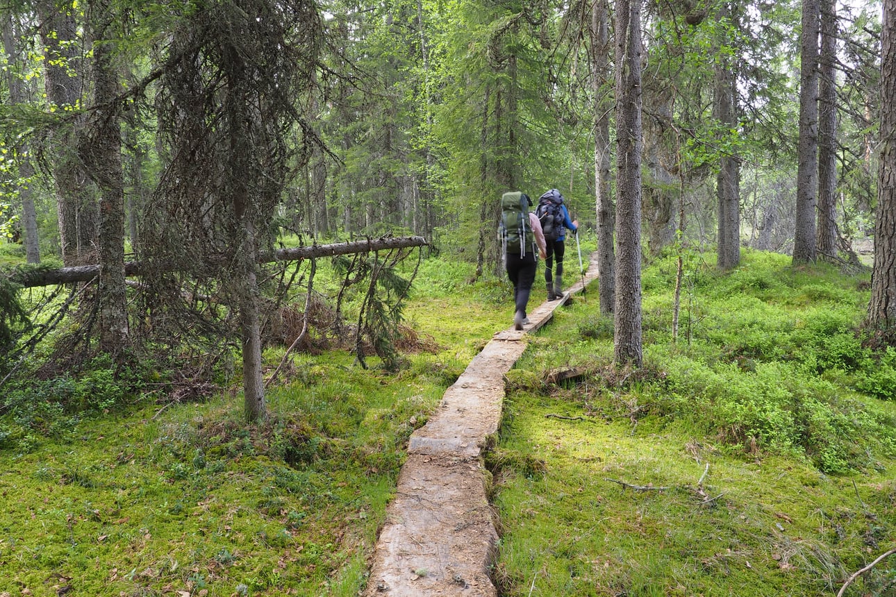 Suomen itäisin retkikohde tarjoaa kymmenien kilometrien edestä retkeiltävää – Tällaisissa maisemissa Koitajoki kiemurtelee Suomesta Venäjälle