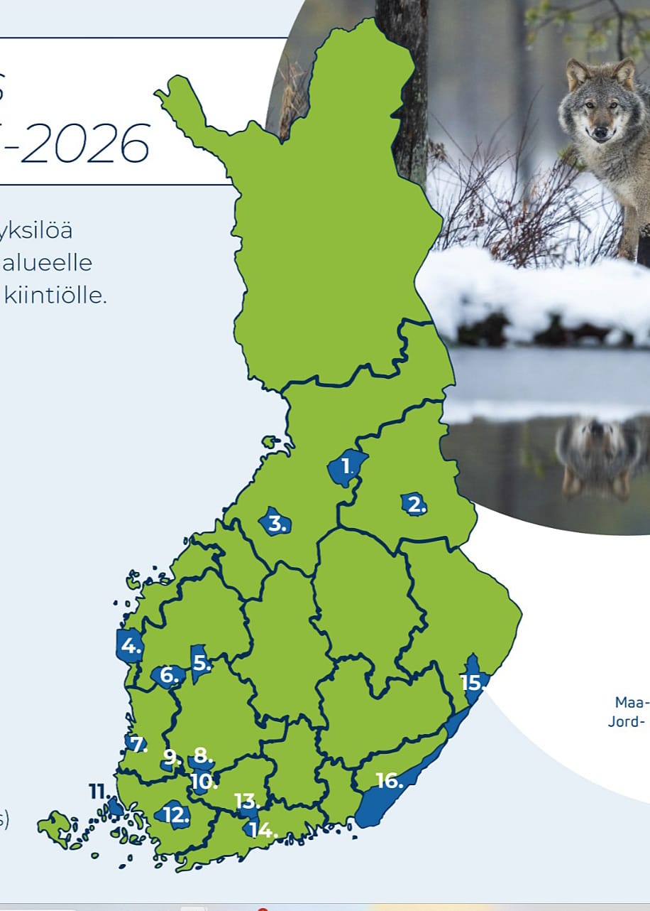 Suden metsästykseen nimettiin 16 kiintiöaluetta. Kaatoluvat perustuvat susien sisäsiittoisuuteen ja koirasusien metsästykseen.