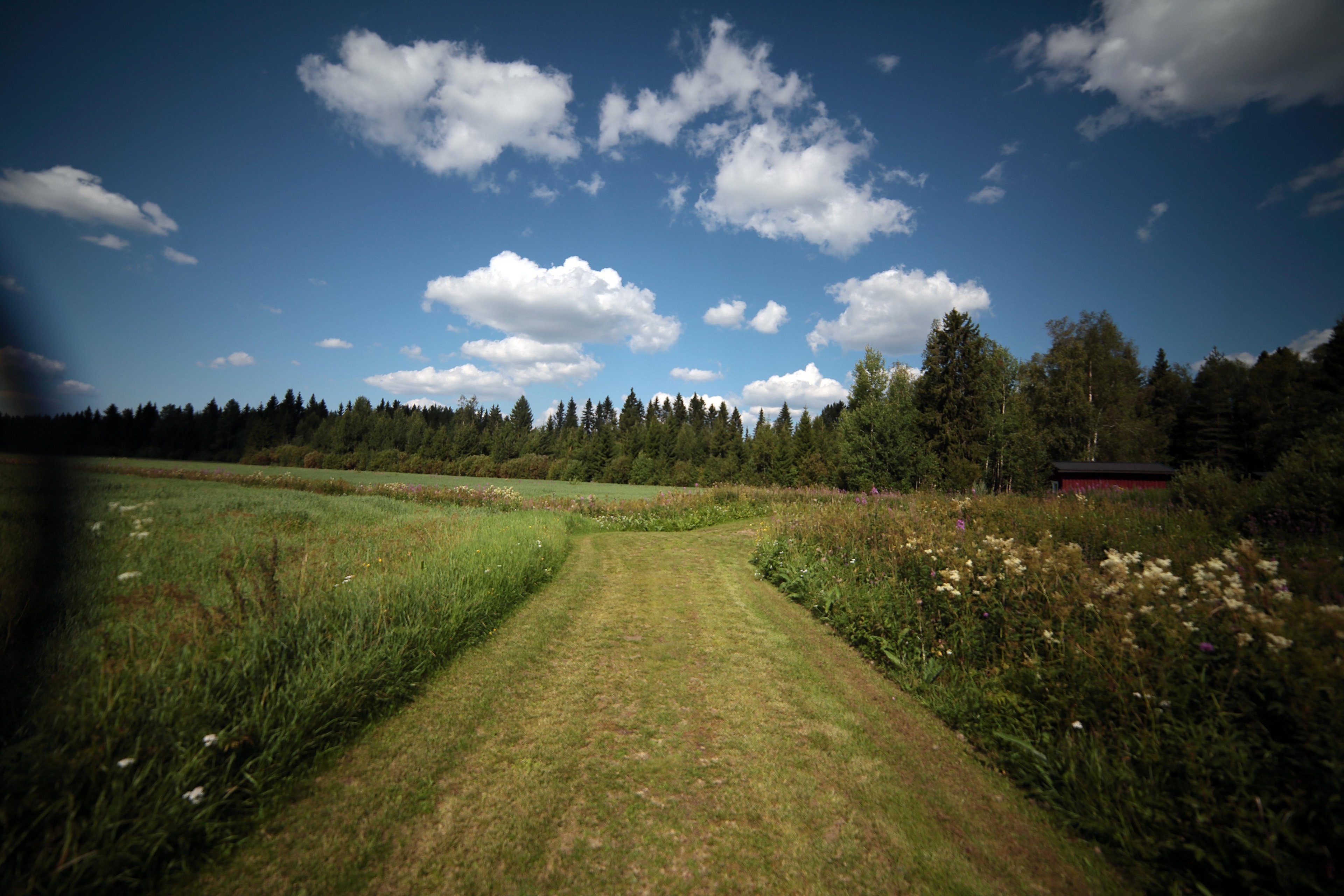 Elokuun 2024 lukijakuvat