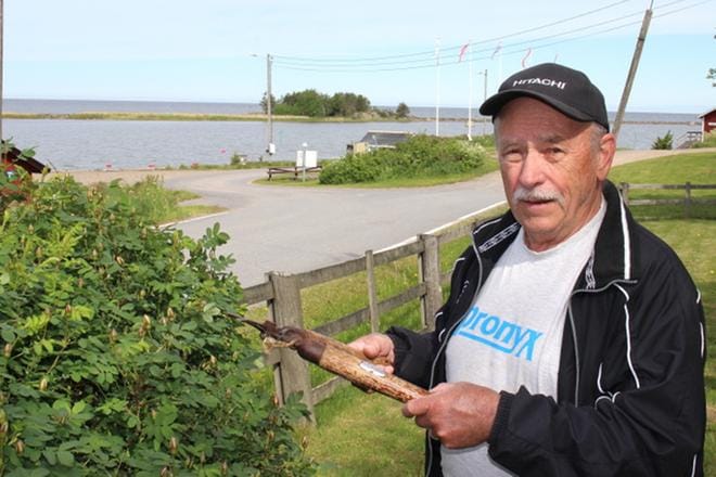 Martti Virtasen kesäasunnon pihasta on suora näköyhteys merelle, jonne tuulivoimaloita suunnitellaan. KUVA: TAUNO RIIHILUOMA