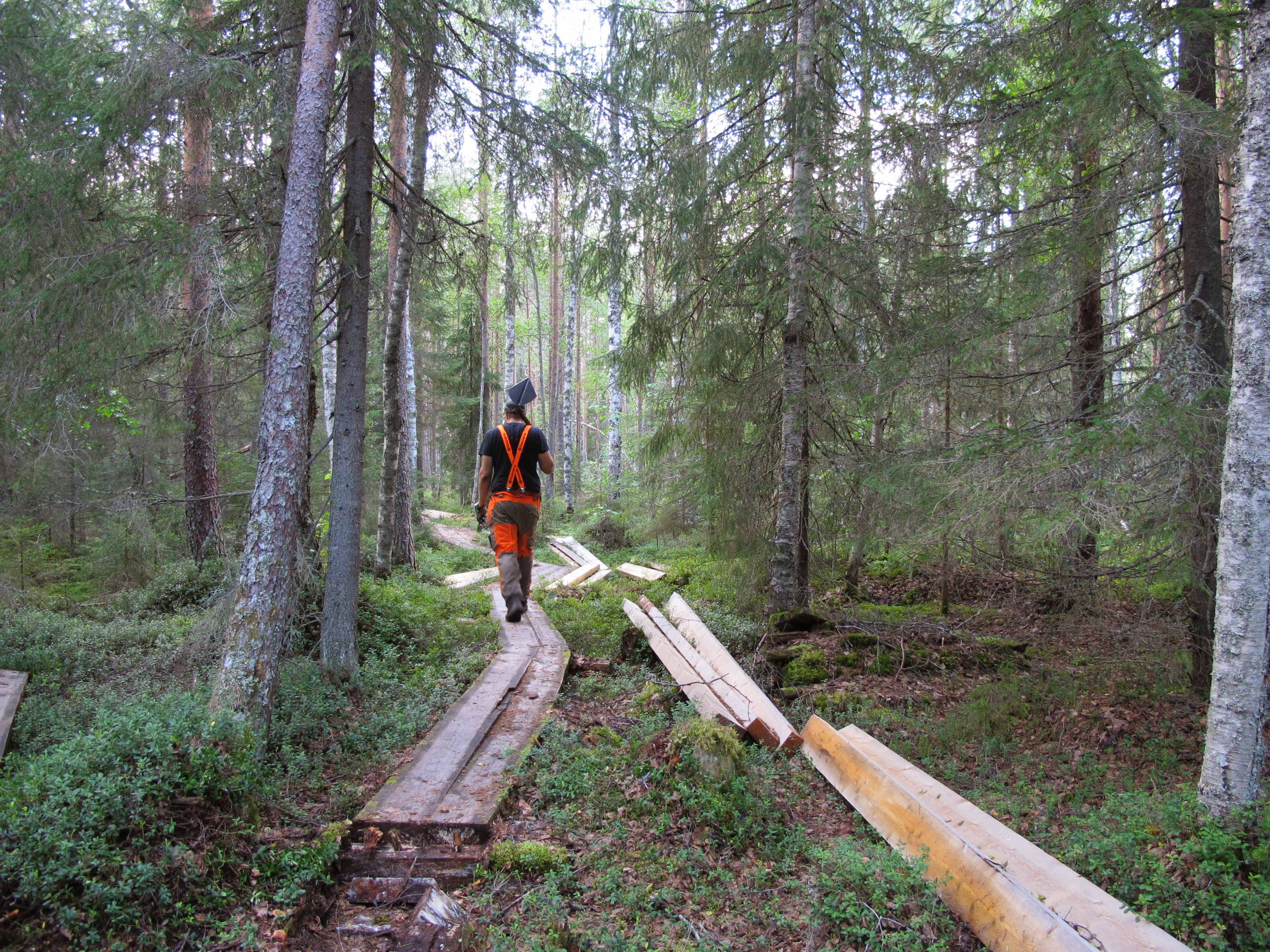 Sanginjoen seuraava reitti vie suoraan jokivarteen – Tätä kaikkea Oulun ykkösretkikohteeseen tulee sen lisäksi