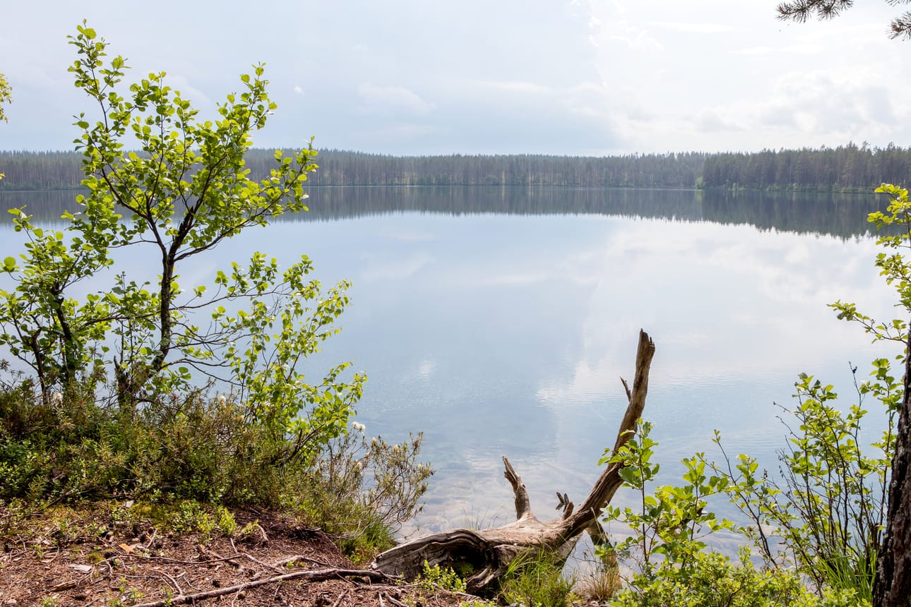Kirkaslammen vesi oli totisesti kirkasta, ja houkutteli lyhyinä aurinkoisina hetkinä hikisiä reissaajia vilvoittelemaan. Ukkosen alkaessa jyrähdellä sai uintihaaveille kuitenkin heittää hyvästit.