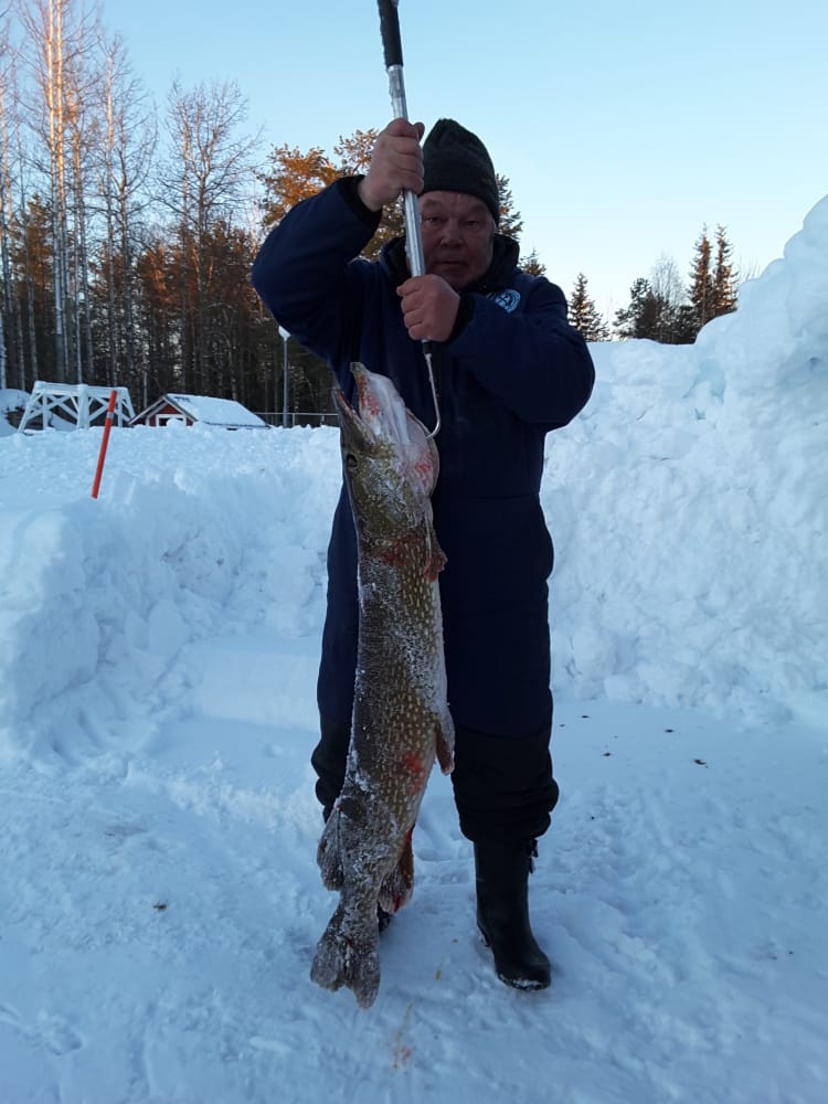 Seppo Hämeenniemi ja elämänsä suurin hauki.