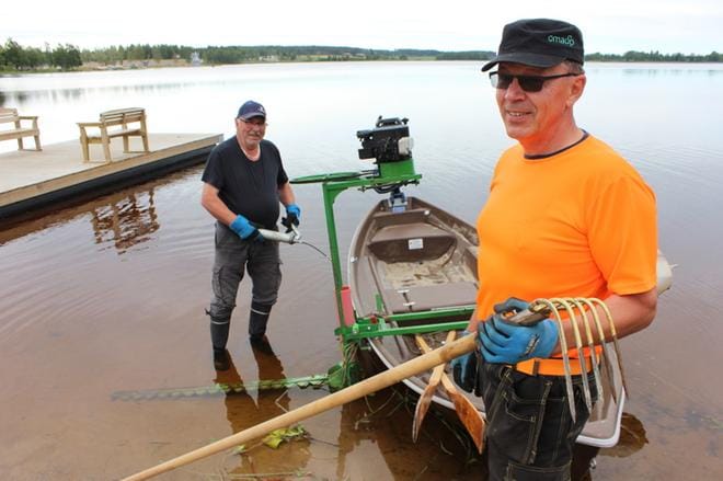 Timo Rintala (etualalla) ja talkoolainen Kalle Ranta-aho lähdössä niittotöihin Alavudenjärvelle vuonna 2018. Arkistokuva.