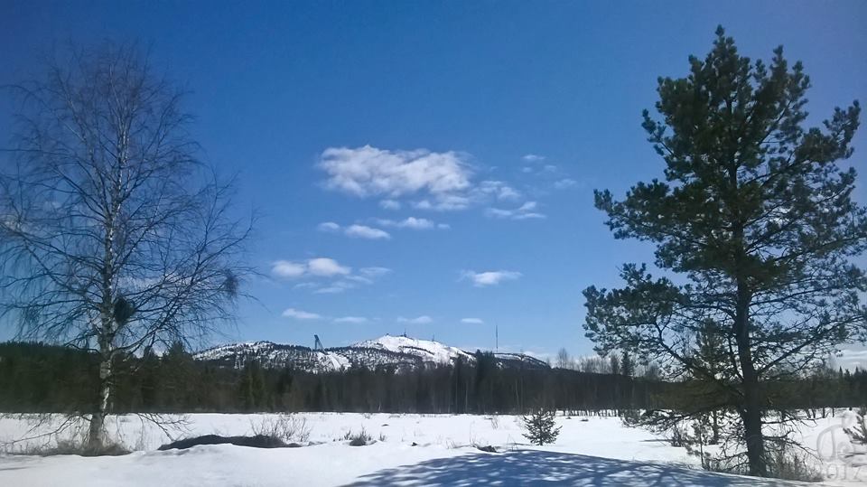 Kuva otettu Moisasensuontieltä Rukalle päin 15.5. Juhannukseen on vähän vajaa 6 viikkoa aikaa, näinköhän on silloinkin vielä hiihtokelit?