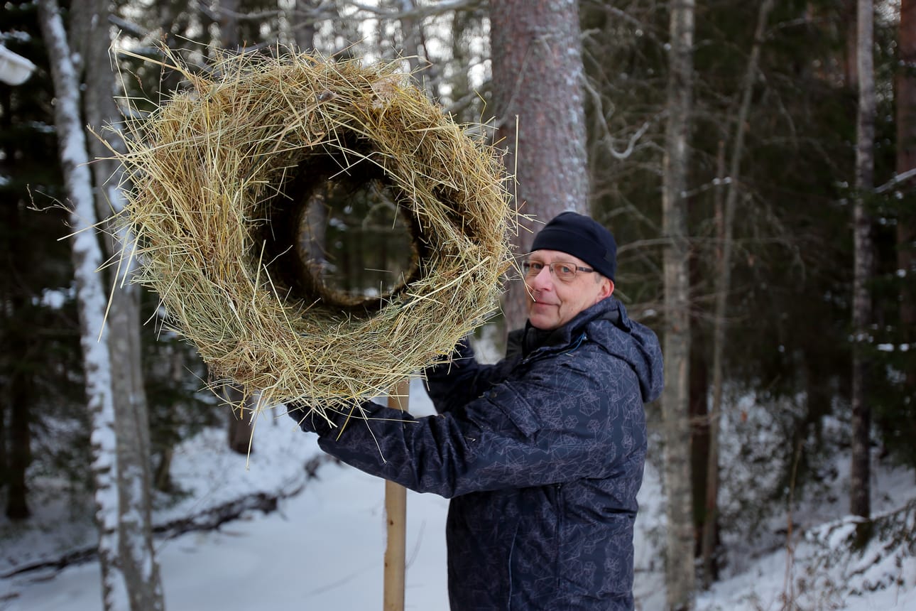 – Jos vaikka merilokki tunkee pesään, pitää sieltä päästä pakenemaan. Siksi pesä on molemmista päistä auki, sanoo Pattijoen Metsästysseuran puheenjohtaja Auvo Arffman.