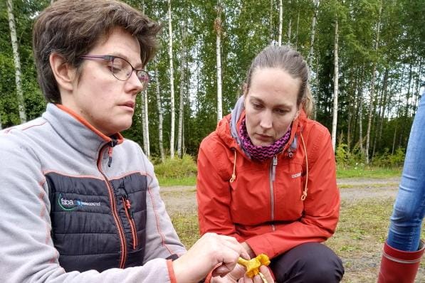 Kati Pajuoja (vas.) neuvoo sienien tunnistusohjeita Anna-Leena Aholle Vimpelin Vatpakalla. KUVA: MIIANELLA HERRALA