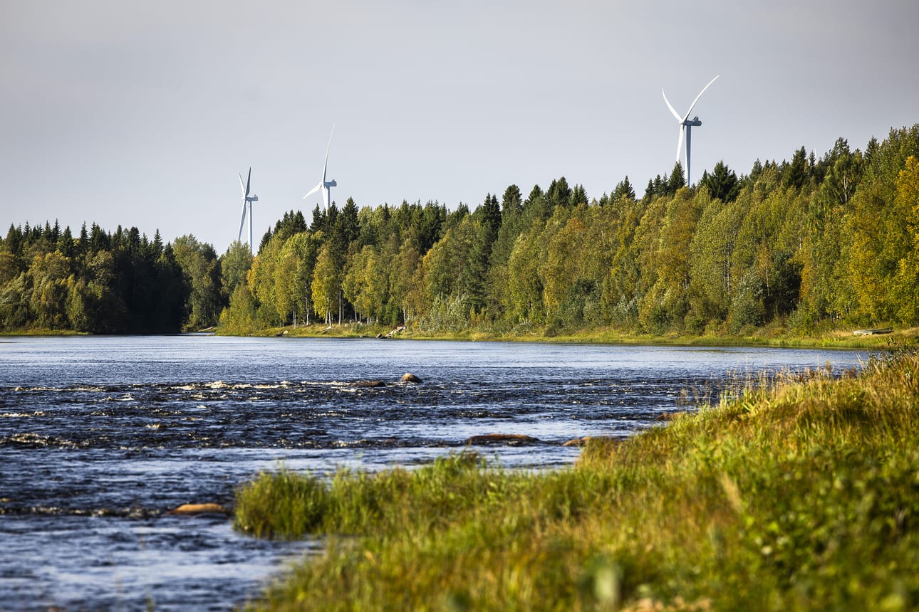 Simojoen veden kirkastamiseen voidaan päästä soita ennallistamallla. Eduskunta myönsi hankkeelle 100 000 euroa.