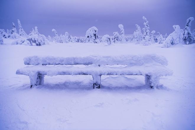 Riisitunturin huippu on yli 200 metriä korkeammalla kuin muikuistaan kuulu Kitkan vesistö. Kun kosteus nousee ylös, se tiivistyy lumeksi puiden oksille. Syntyy tykkyä. KUVA: Jouni Porsanger
